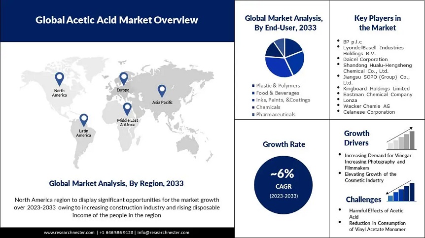 酢酸市場の規模、シェア、洞察、2033年までの予測